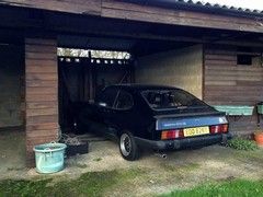 Capri is stabled for the winter awaiting transplant