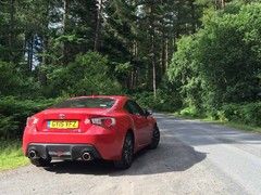 Kielder Forest; can we go rallying?