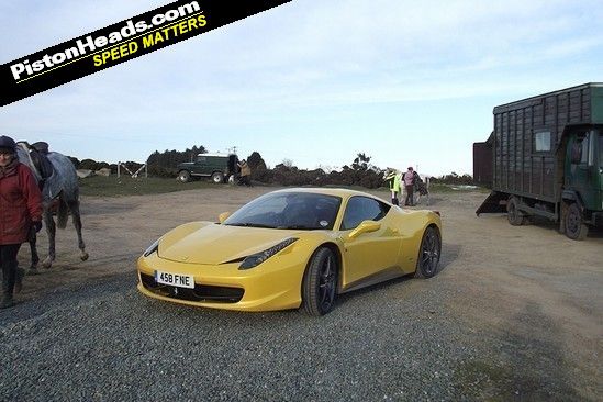 Prancing Horse shares Bodmin Moor car park space with, er, non-prancing horse