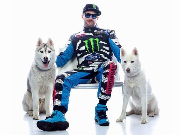 Ken block hot sale dog collar