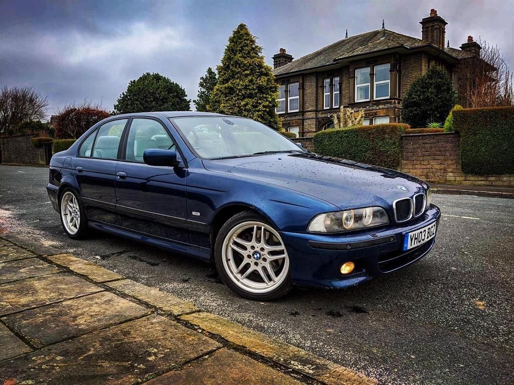 Why The BMW E39 M5 Still Stands At The Summit Of Sports Sedans   Petrolicious