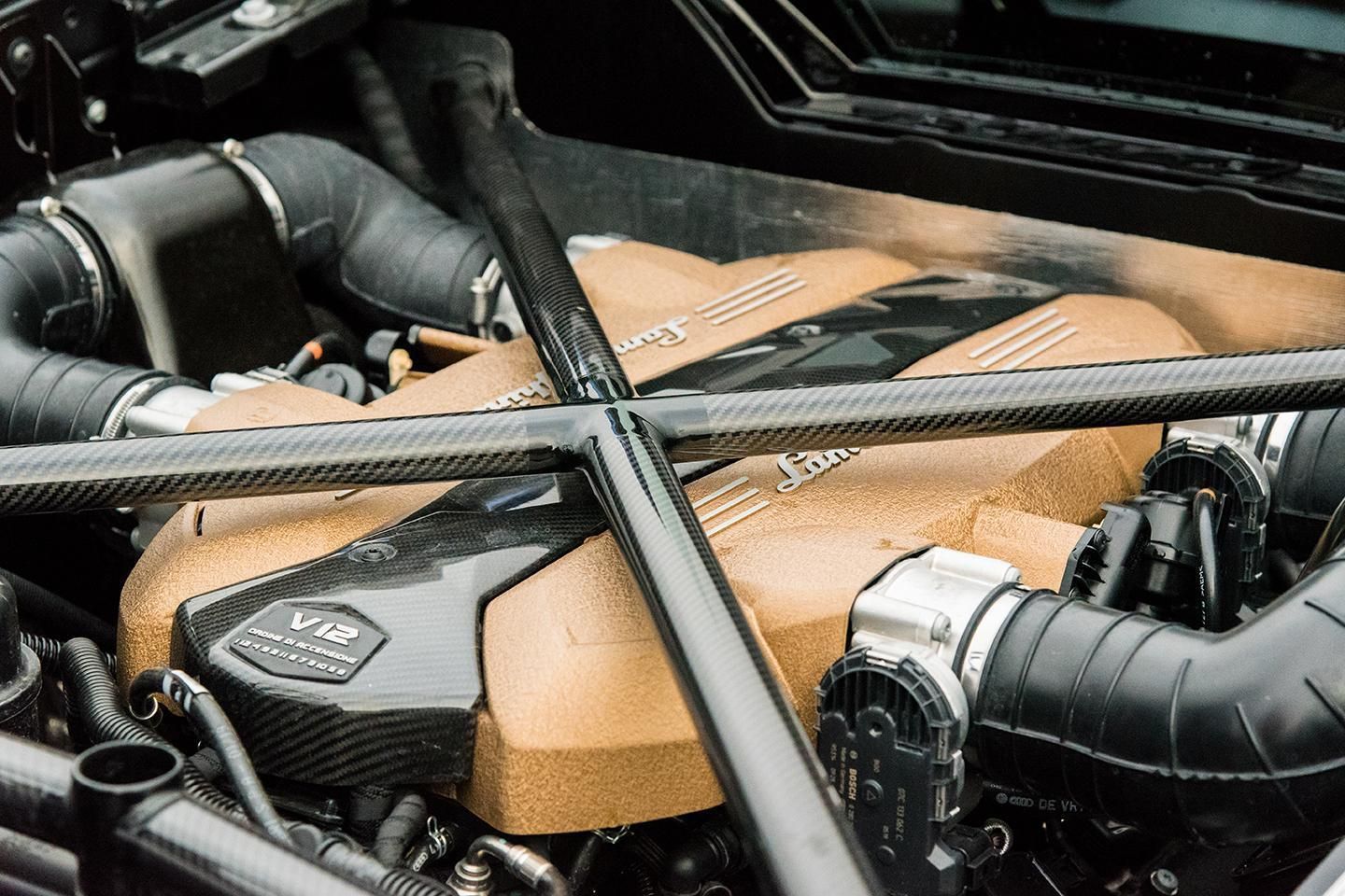 The very soul of our car' - Lambo V12 stays | PistonHeads UK
