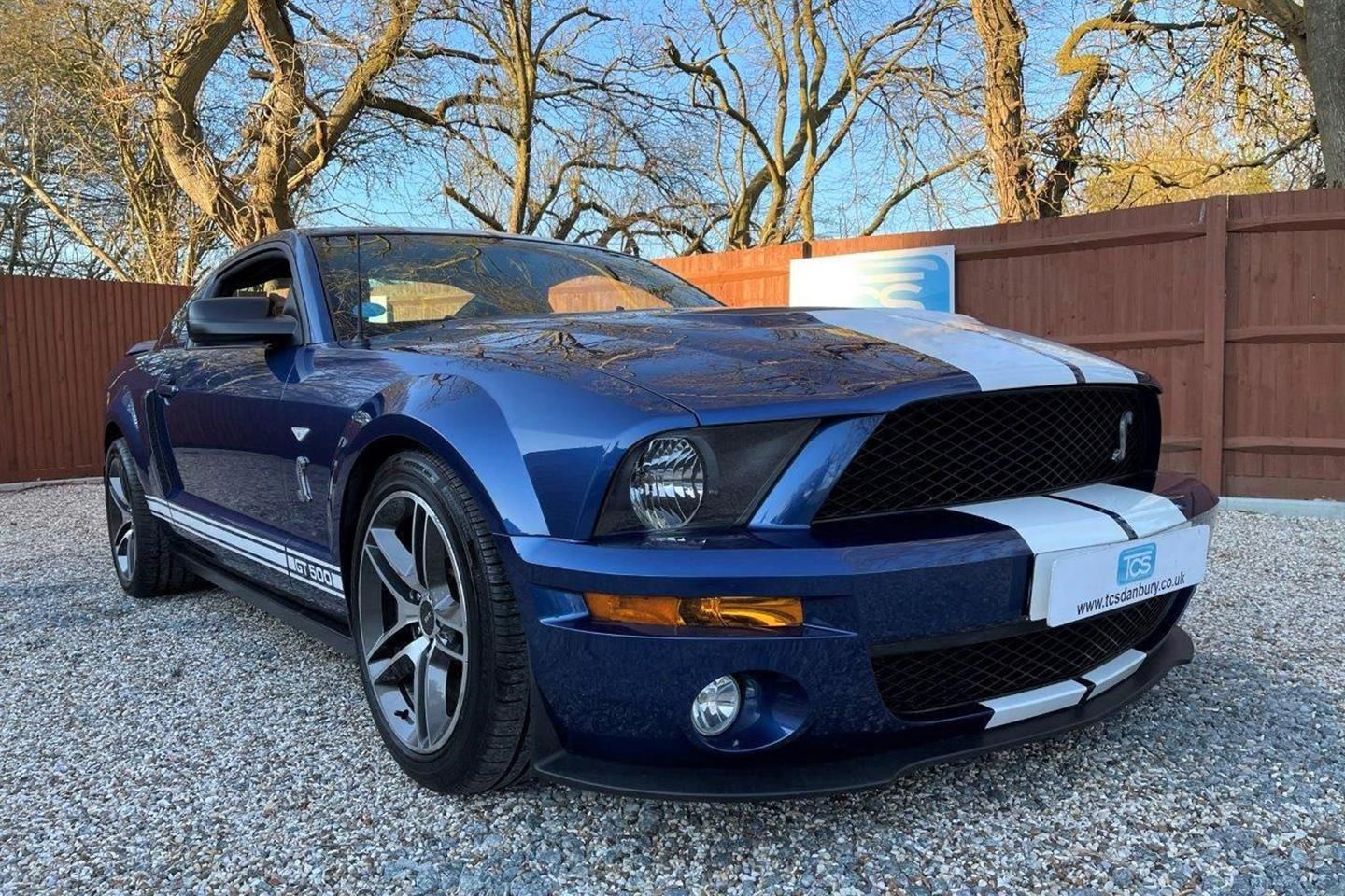 Ford Mustang Shelby GT500  The Brave Pill - PistonHeads UK