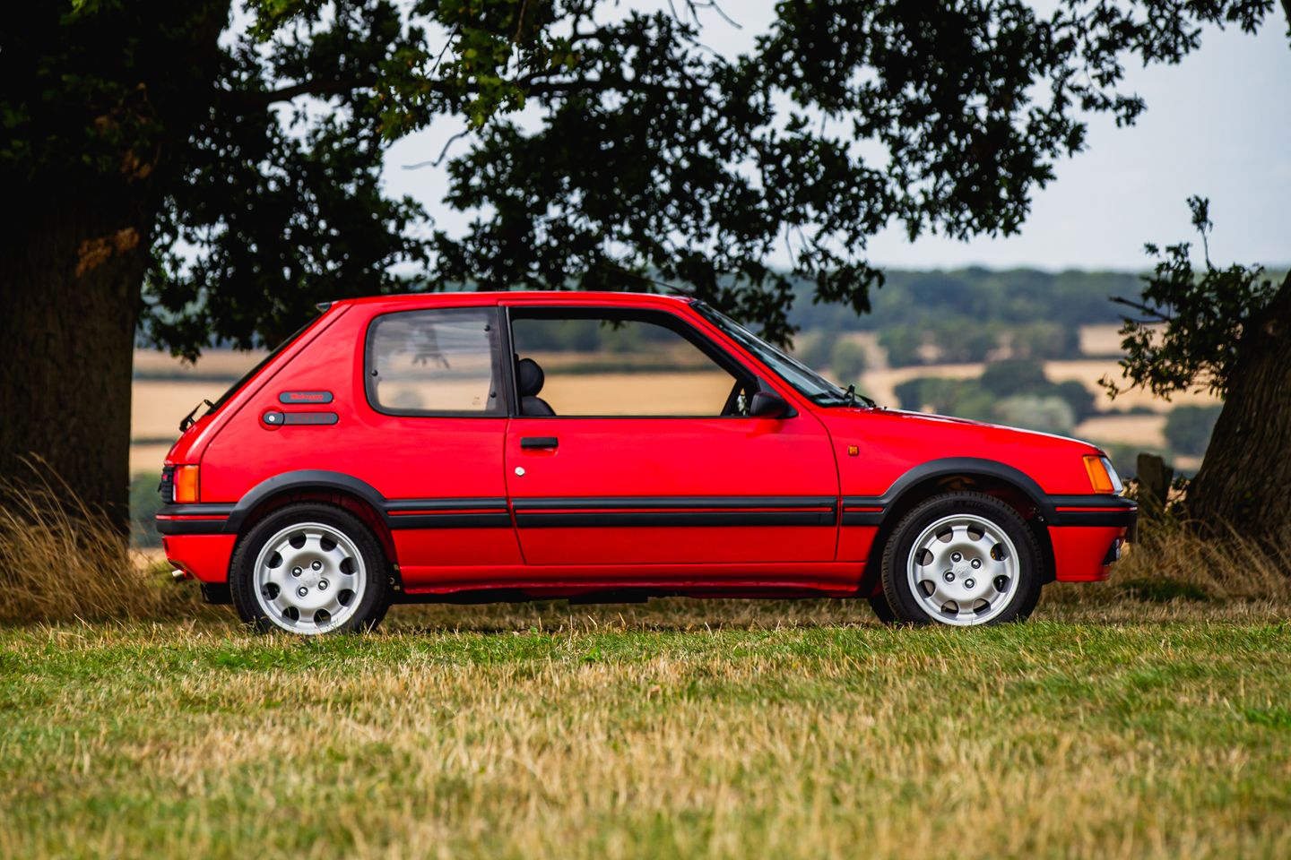 Peugeot 205 Gti Red